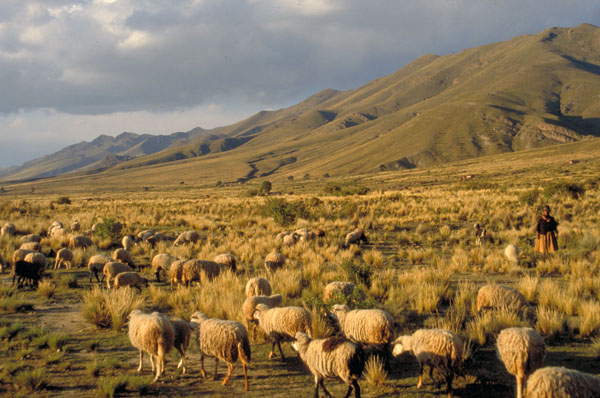 bolivia-0481