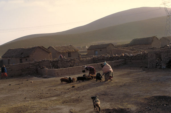 bolivia-0484