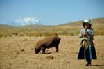 bolivia-0433