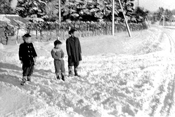 Niels Jrgen, Jens og Jacob ved indkrslen til prstegrden