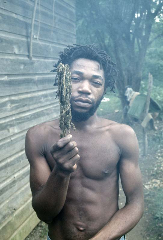 Jamaica_60