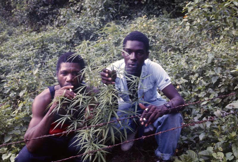 Jamaica_72