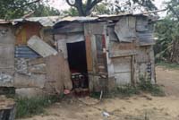 Jamaica_59