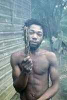 Jamaica_60