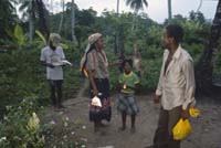 Jamaica_62