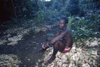 Jamaica_76