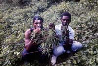Jamaica_77