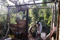 Jamaica_78