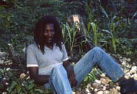 Jamaica_87