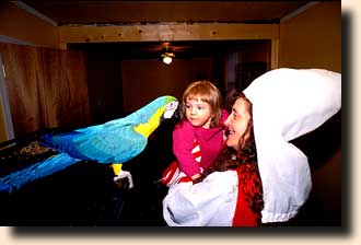 Pam med barnebarnet hos papegjerne